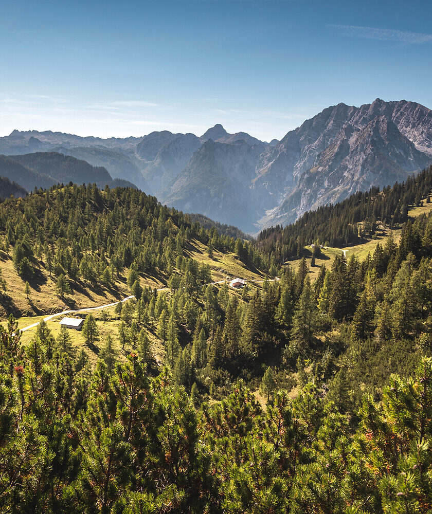 Die Grüne Landschaft des Nationalpark Berchtesgaden